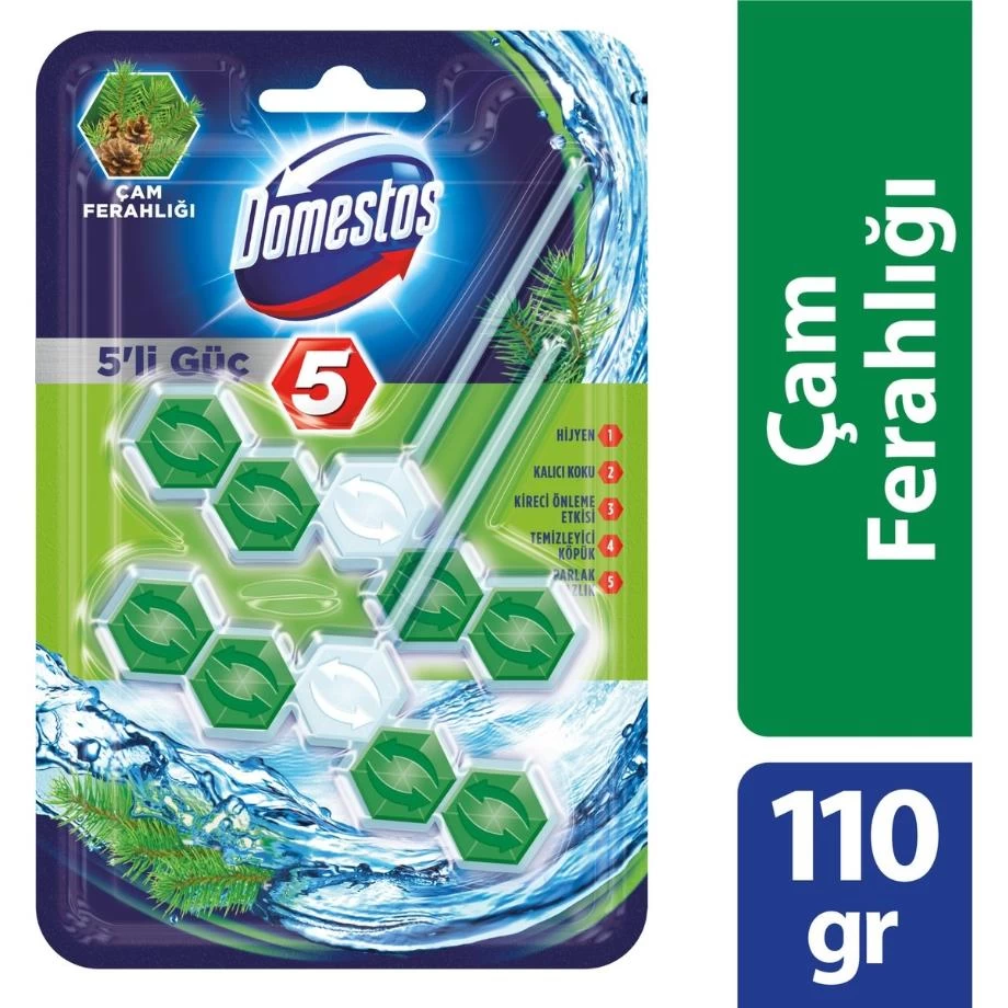 Domestos 5-Way Power Pine Freshness 110 gr