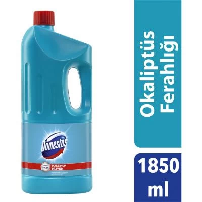 Domestos Max. Hygiene Eucalyptus Refreshment 1850 ml